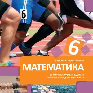 BIGZ - Matematika sa zbirkom 6 prvi deo za šesti razred
